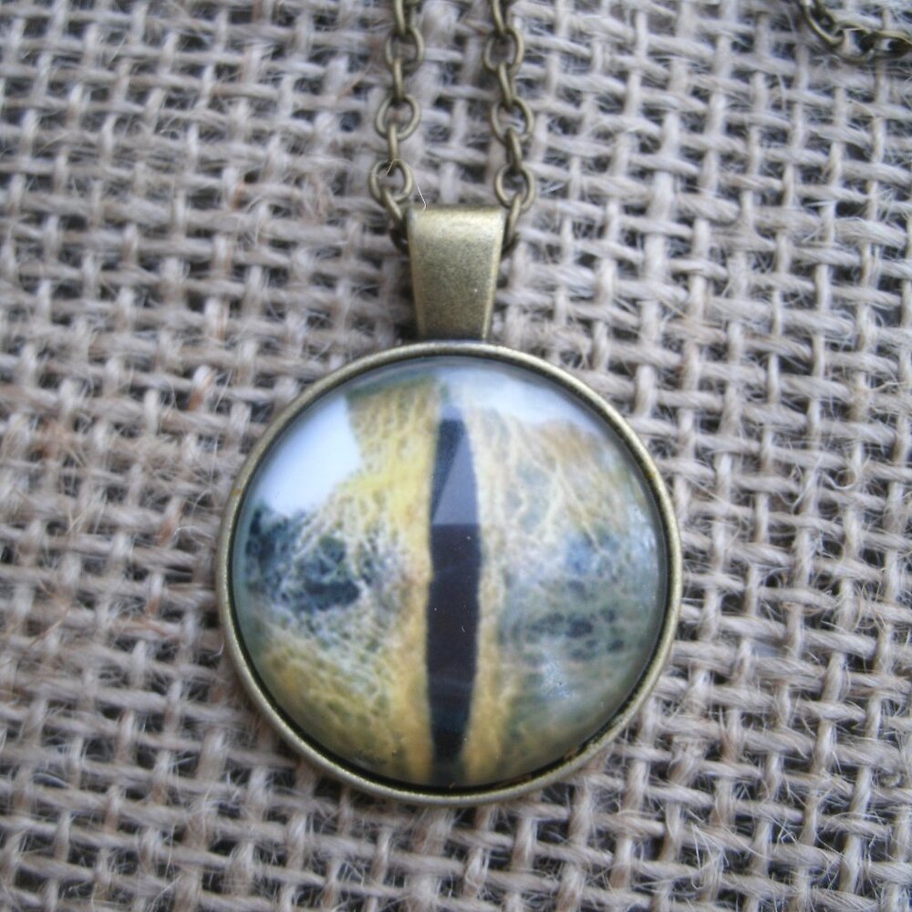 Monster Eye Glass Cabochon Pendant Necklace